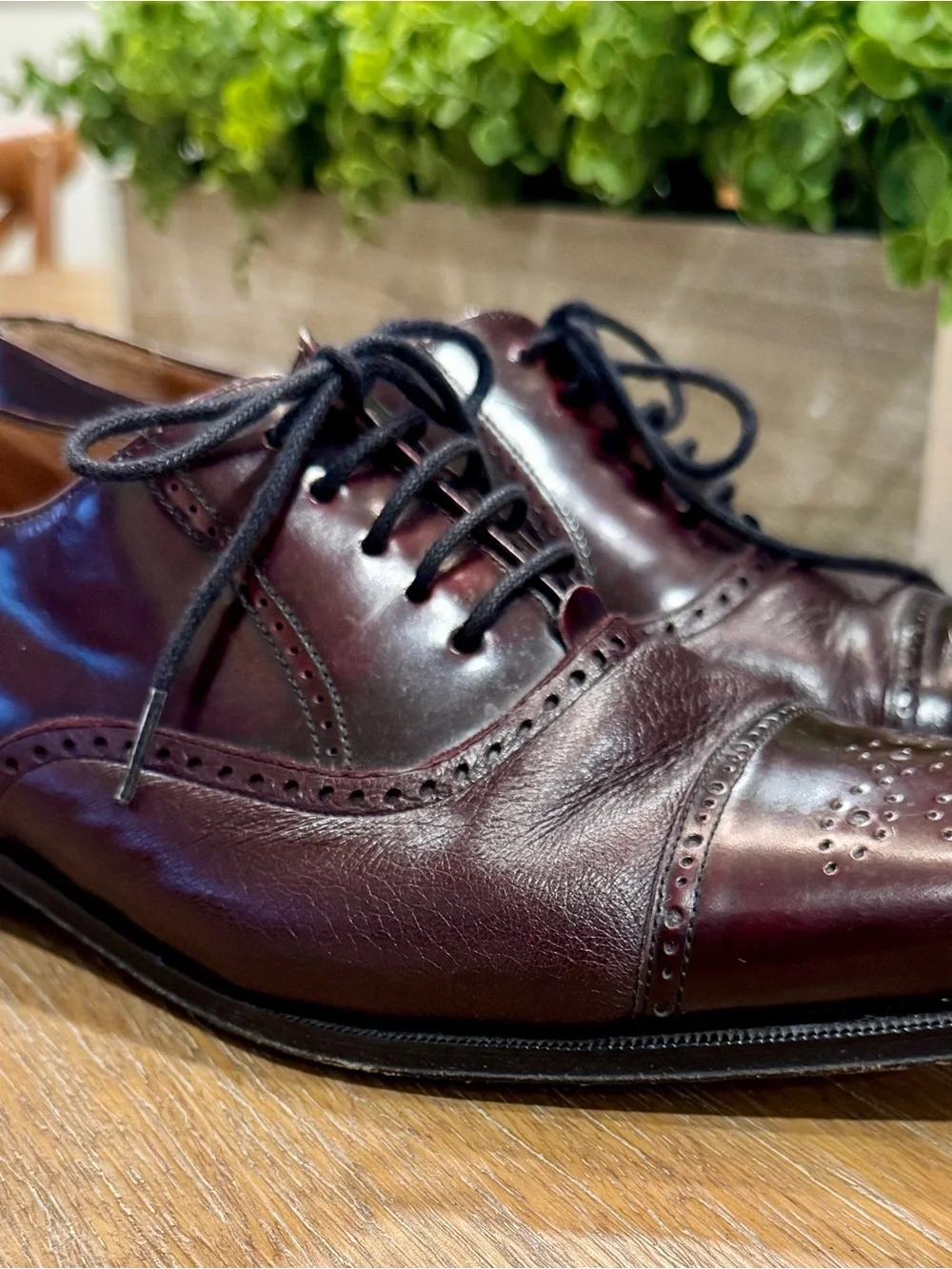 Men's Mezlan Tyson II Cap-Toe Oxford Dress Shoes in Burgundy